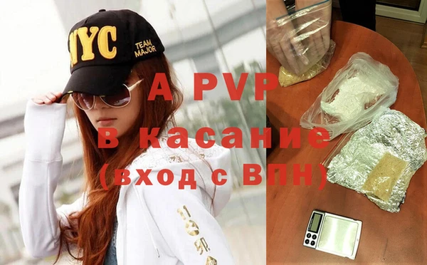 стафф Вяземский