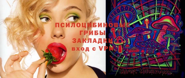 стафф Вяземский