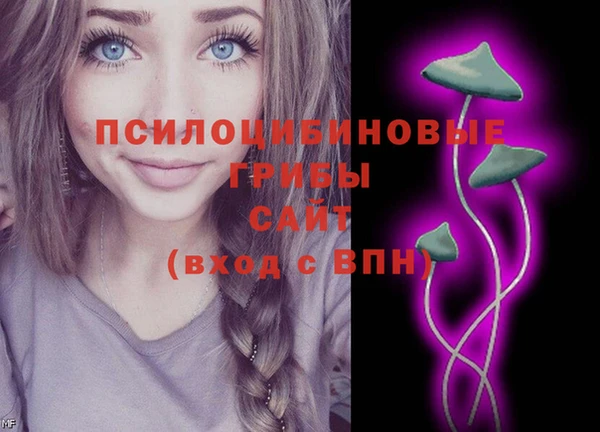 дживик Вязники