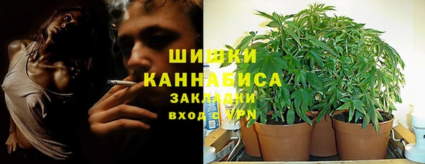 дживик Вязники