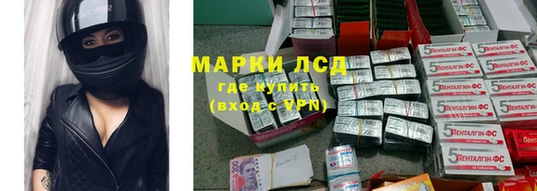 стафф Вяземский