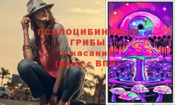 стафф Вяземский