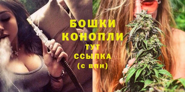 стафф Вяземский